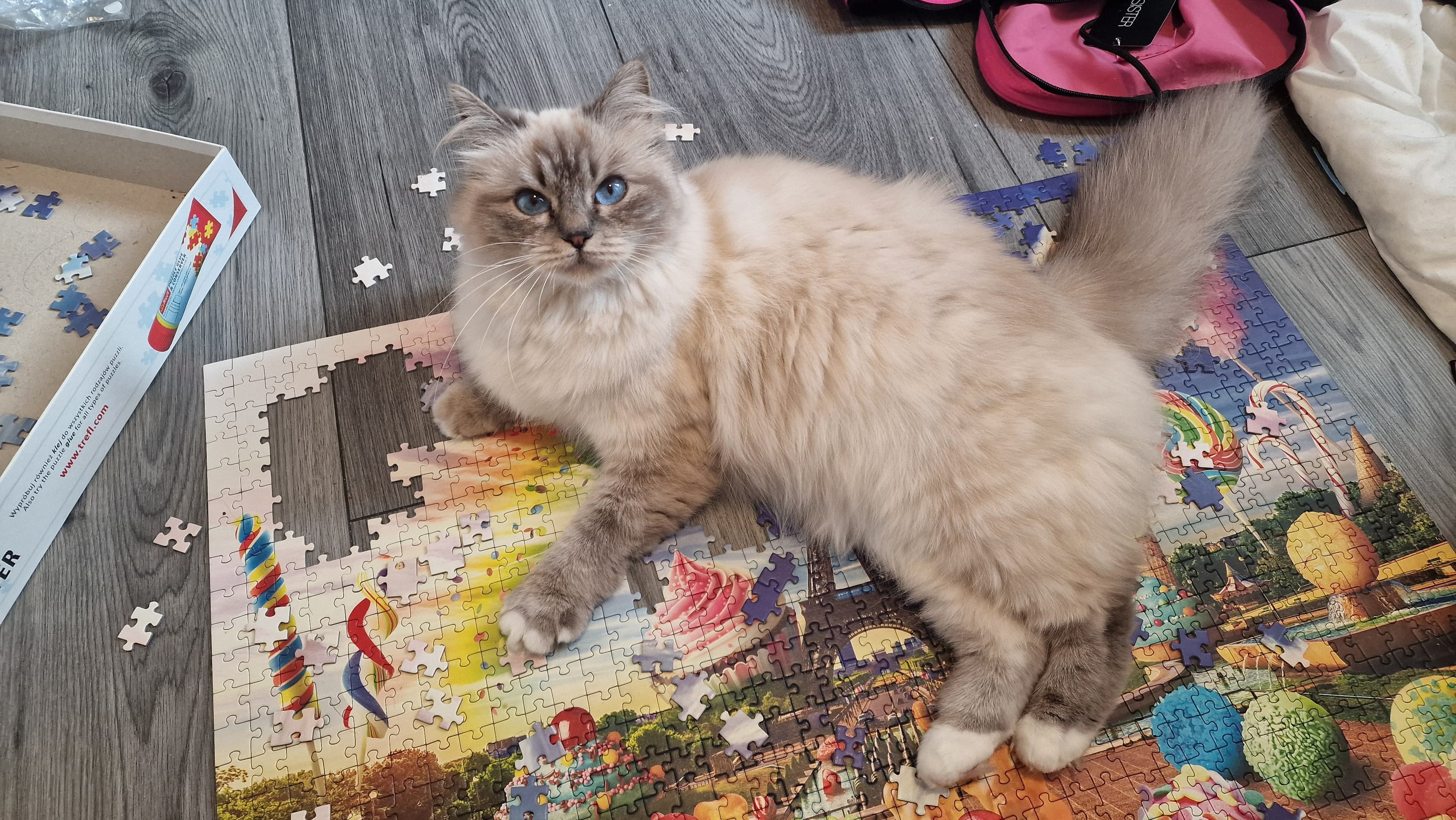 3de Nest van Diva