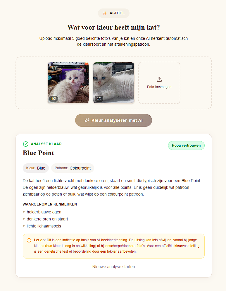 Nieuw: AI Kleurherkenning — ontdek de kleur van jouw kat! ✨