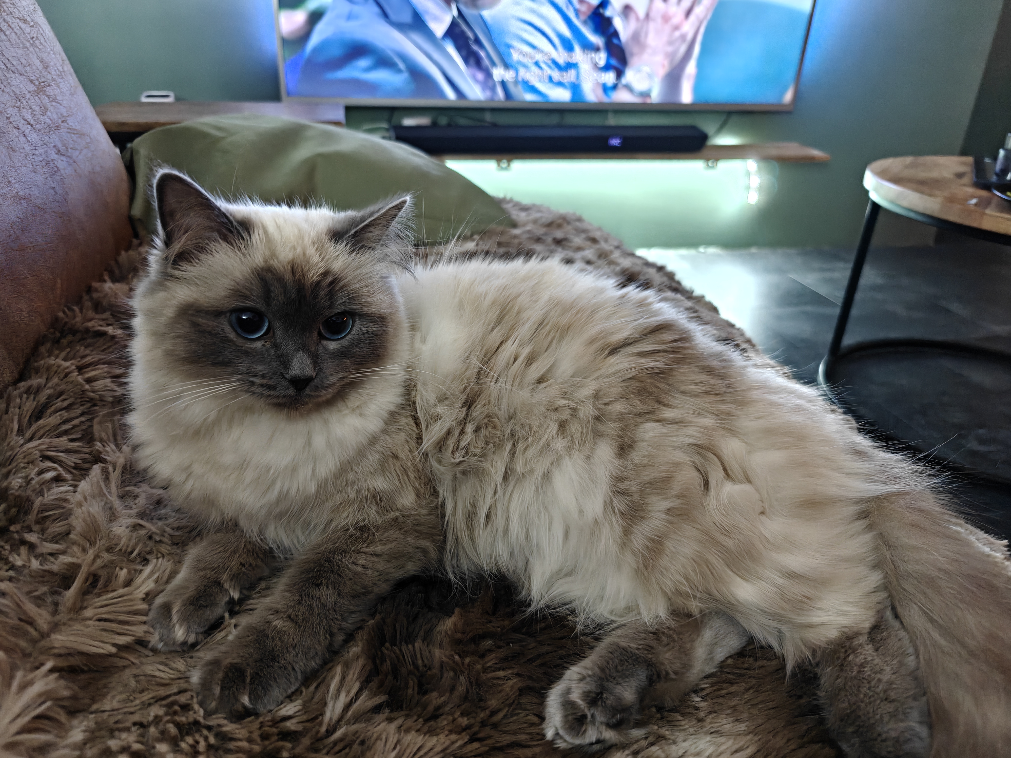 Nala